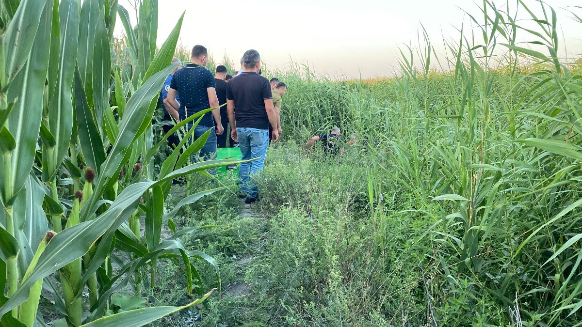 Adana’da sazlıklar arasında bir kişi ölü bulundu