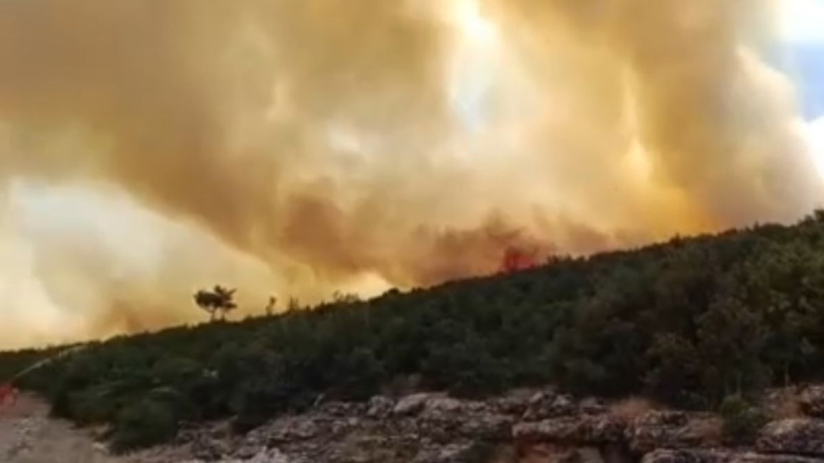 Gaziantep’te orman yangını