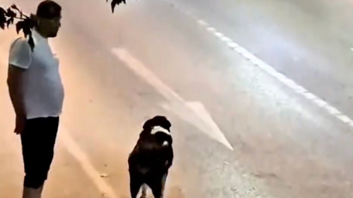 Pendik’te skandal görüntü: Köpeğe tecavüz ederken görüntülendi