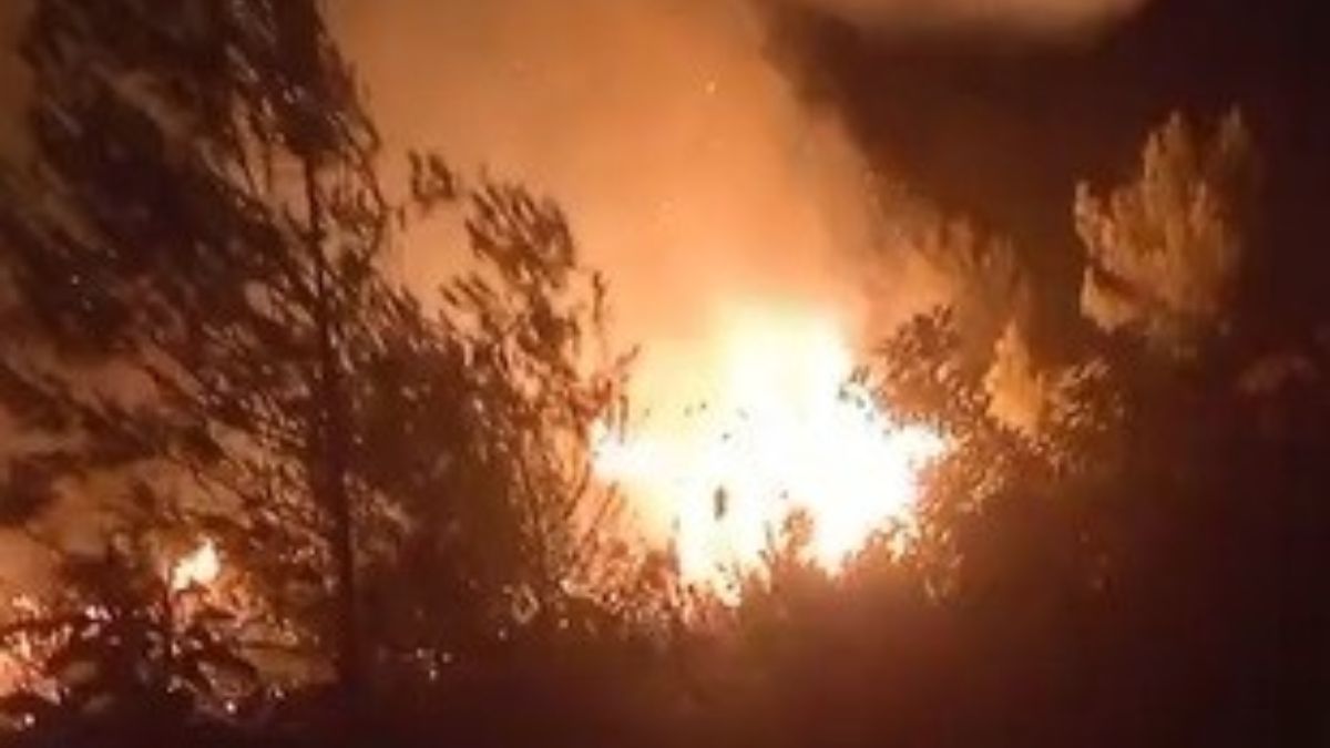 Hatay’da alevlere müdahale devam ediyor