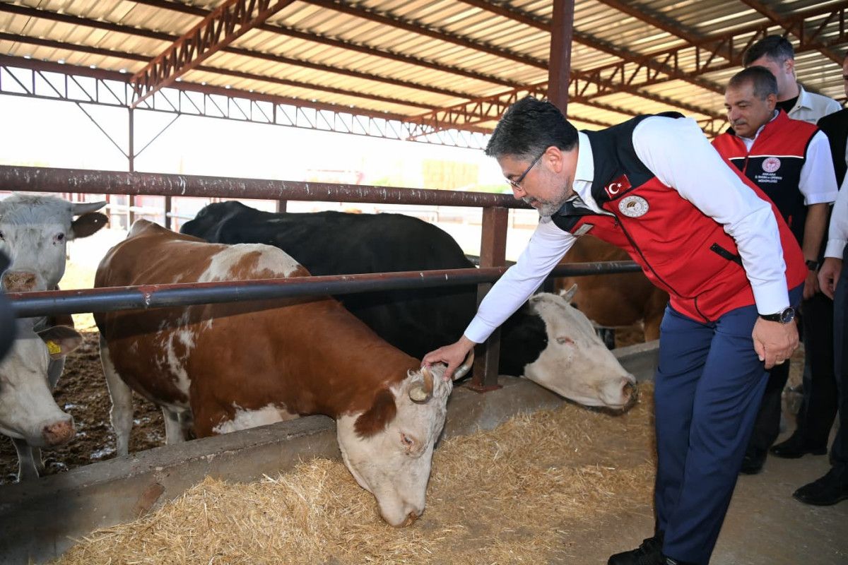 İbrahim Yumaklı: 2026’dan itibaren her yıl 200 bin baş hayvanı kendi üreticimizden karşılayacağız