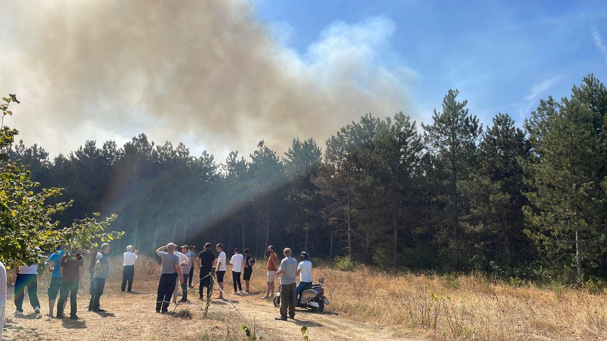 Sakarya’da orman yangını çıktı