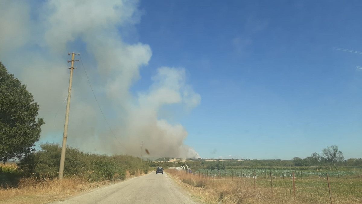 Çanakkale’de orman yangını