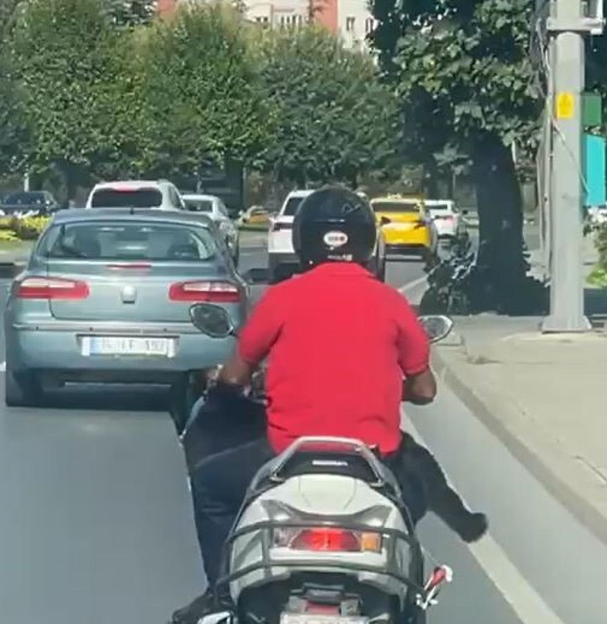 İstanbul’da akılalmaz görüntü: Motorun önünde köpekle yolculuk yaptı