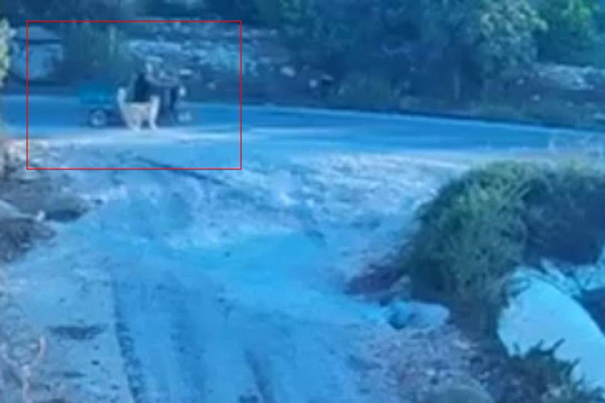 Mersin’de köpeğin saldırdığı motosiklet devrildi