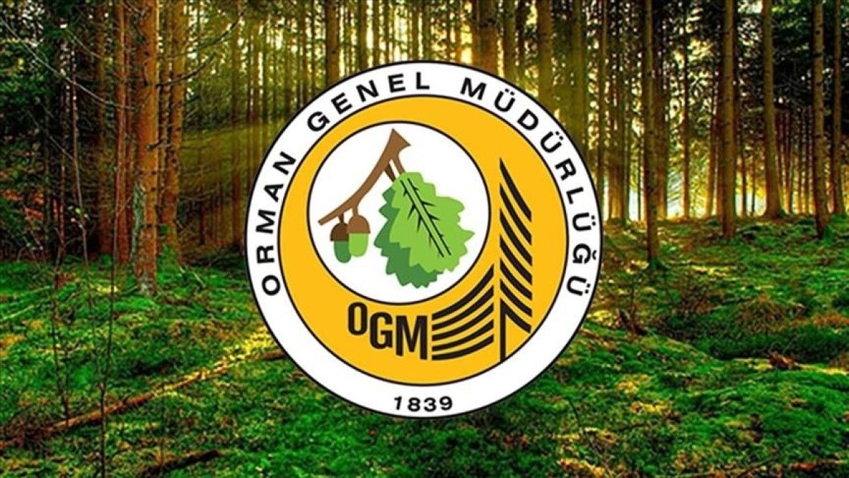 Orman Genel Müdürlüğü 262 daimi işçi alacak