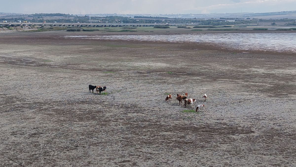 İstanbul Büyükçekmece Baraj Gölü’nde su seviyesi düştü