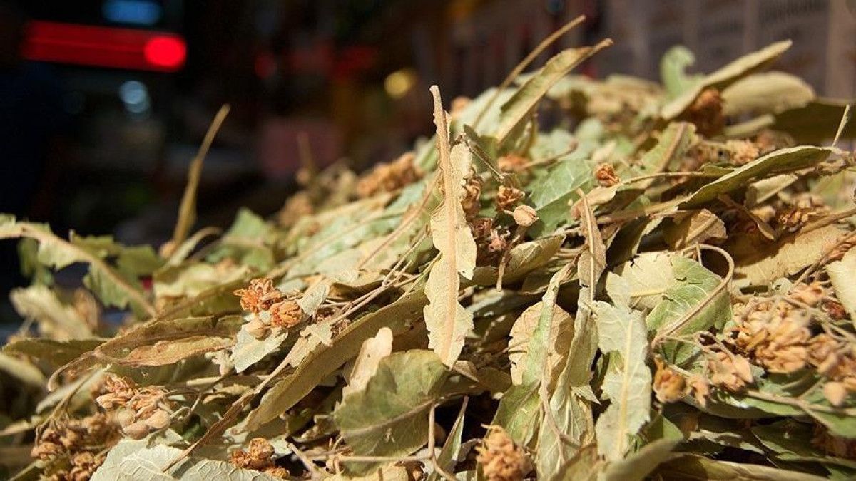 Kimse bu etkilerini bilmiyor: Ihlamur çayının 7 faydası