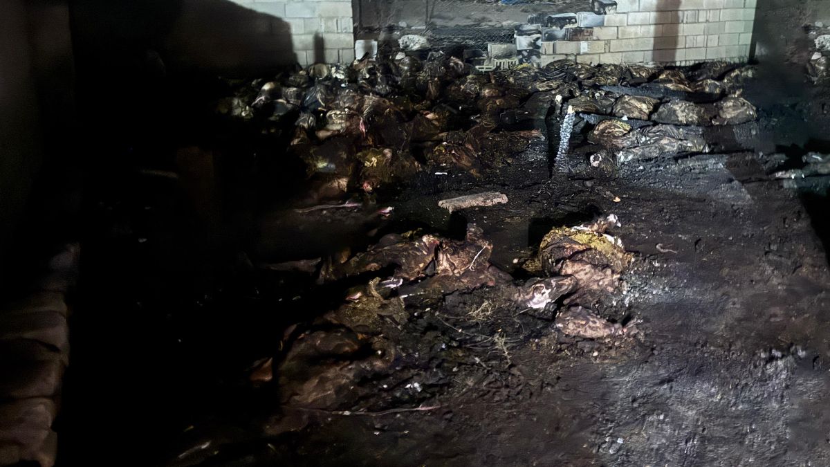 Niğde’de ahır yangını: 170 koyun telef oldu