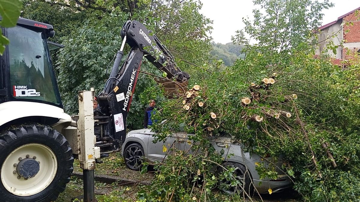 Zonguldak’ta park halindeki otomobilin üzerine ağaç devrildi