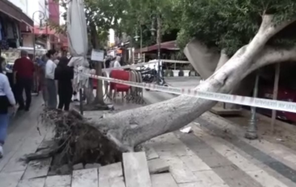 Antalya’da devrilen ağacın altında kalmaktan son anda kurtuldu
