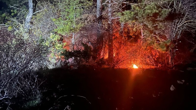 Bolu’da ormanlık alanda yangın