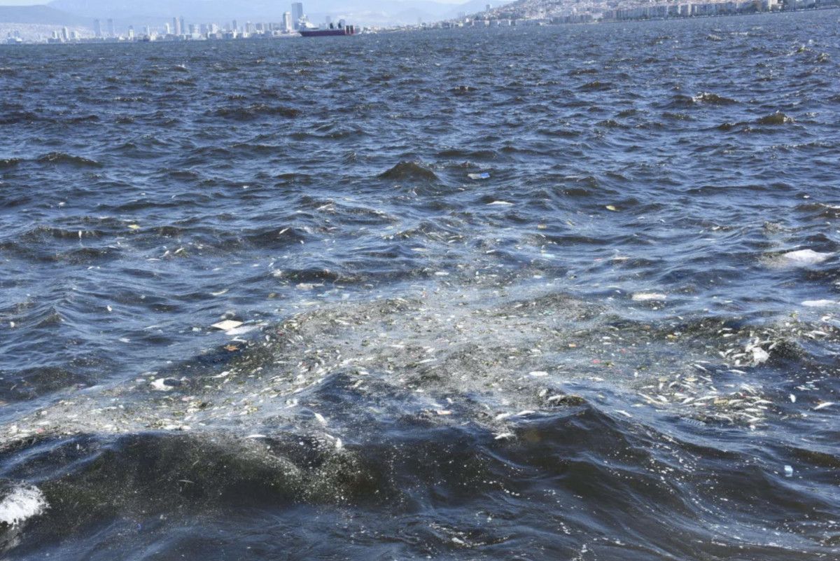 Cemil Tugay: İzmir bok içinde diyorlar