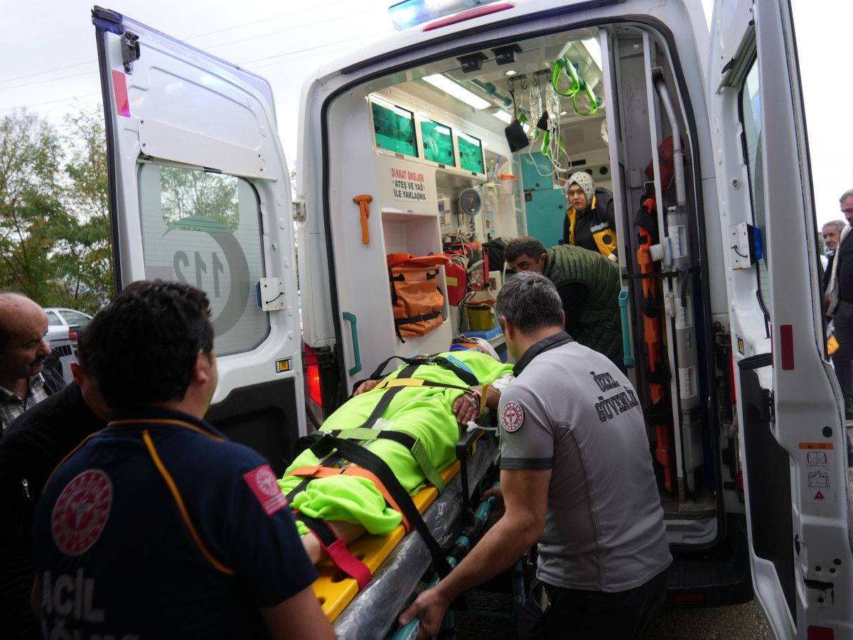 Kastamonu’da mantar toplayan imama ayı saldırdı