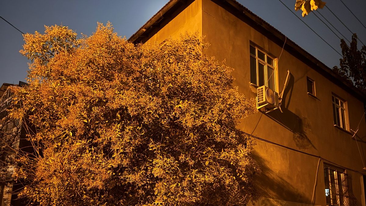 Kocaeli’de çatlak ve kayma tespit edilen 2 katlı bina boşaltıldı