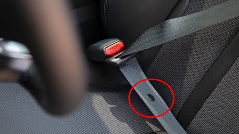 Sürücülerin çoğu bilmiyor: Emniyet kemerindeki siyah düğme hayat kurtarıyor