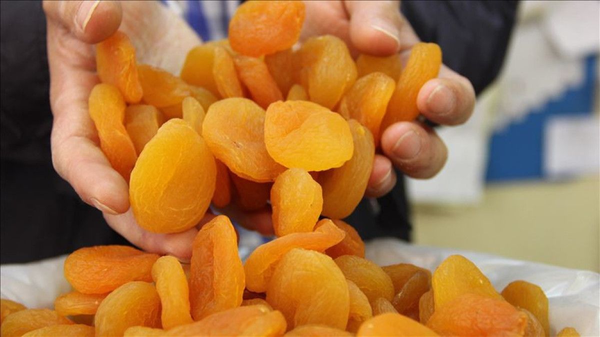 Türkiye tarımda 7 üründe dünya lideri, 22 üründe ilk üçte