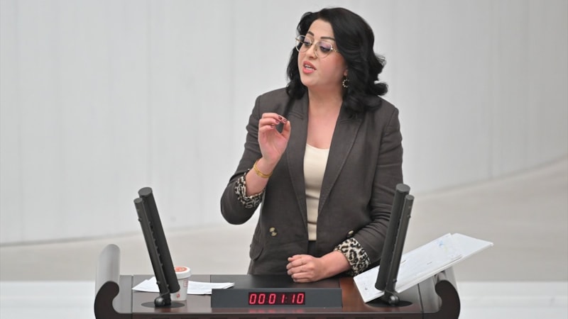 DEM Partili Bartın: Kimse kaçak elektrik kullanımı ile ırkçı manipülasyonlar yapmasın