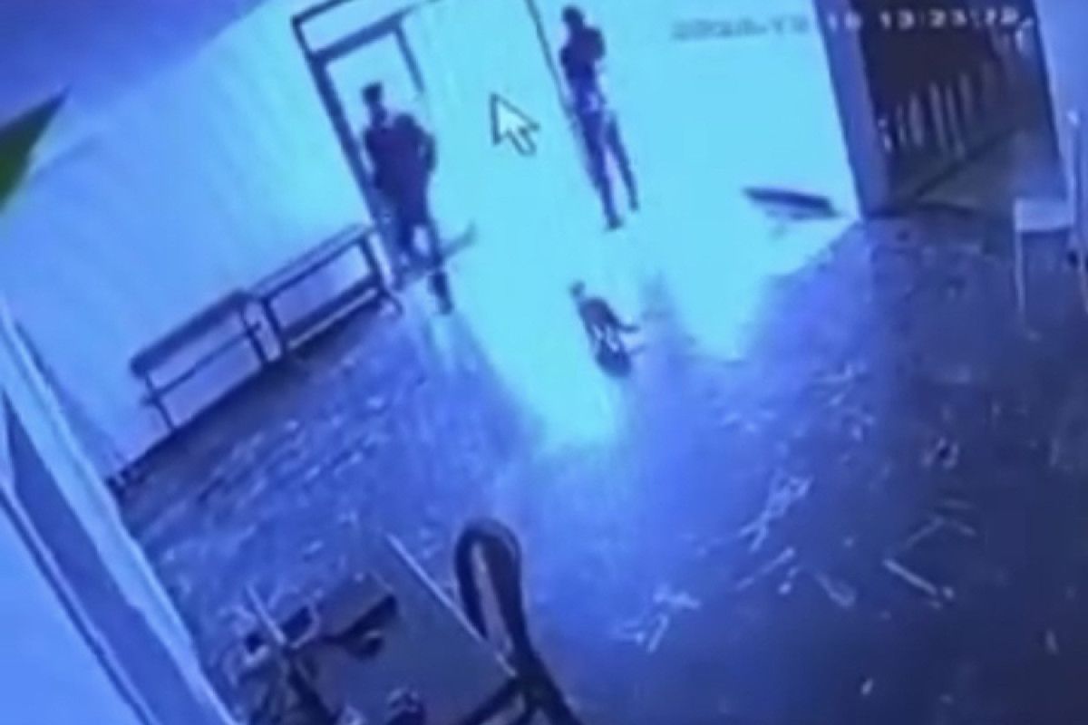 Elazığ’da kediye tekme atan görevli tepki çekti