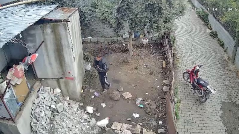 Osmaniye’de kümeslerden 9 tavuk çalan hırsız yakalandı