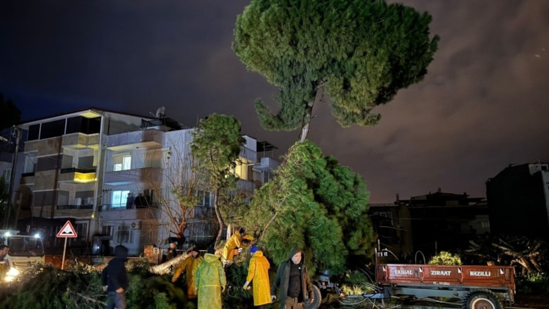 Aydın’da fırtınada devrilen ağaç, elektrik tellerini kopardı