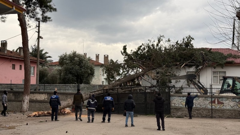 İznik’te lodos dehşeti: Dev ağaç okul bahçesine devrildi