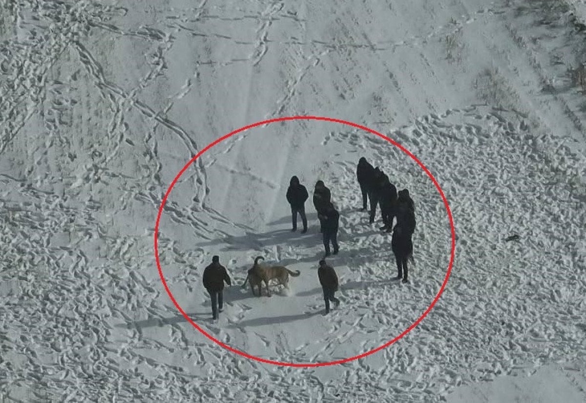 Nevşehir’de köpek dövüştürenlerin ‘drone’u görüp kaçtığı anlar kamerada