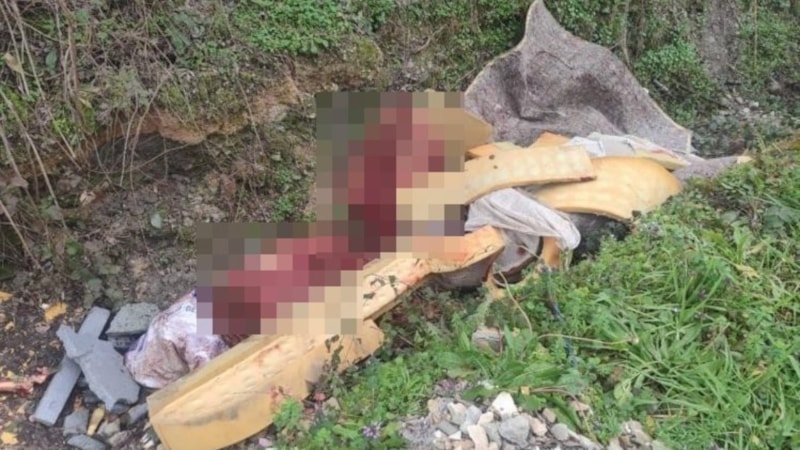 Sakarya’da yol kenarındaki kemikler ekipleri at kasaplarına götürdü