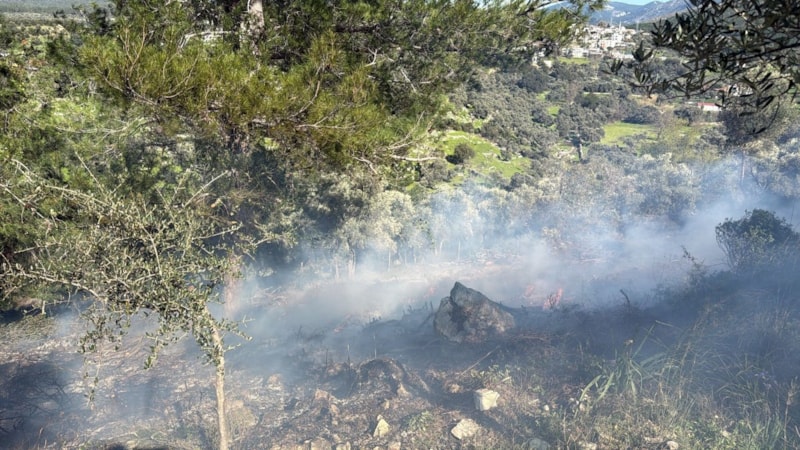 Muğla’da temizlik için yakılan ateş, yangın çıkmasına neden oldu