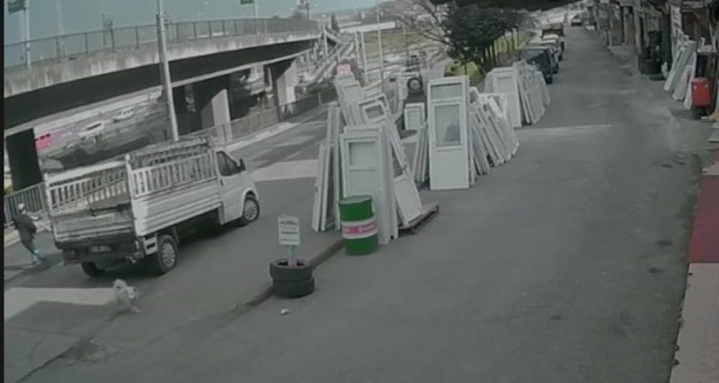 Trabzon’da yaşananlar ders olmadı: Sokaklar başıboş köpeklerle dolu