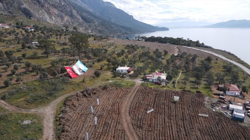 Muğla Turnalı Sahili yeniden yeşilleniyor