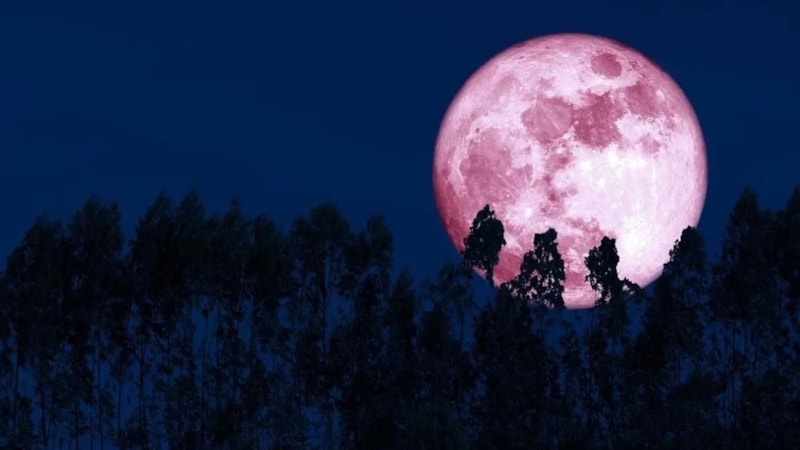 Pembe Dolunay tarihi 2026: Pembe ay ne zaman, saat kaçta görünecek