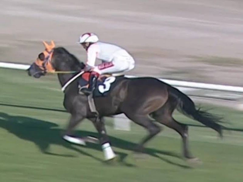 Sakatlanan yarış atının kavurma yapıldığı iddiası: At sahibi konuştu