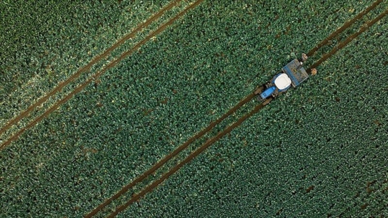 Tarım sezonunun ilk 4 ayında geçen yıldan yüzde 38 daha fazla yağış aldı