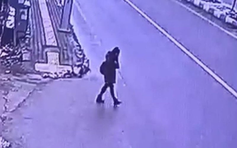 Gülistan Doku dosyası: Görevli müfettişler araştırmalarını tamamladı