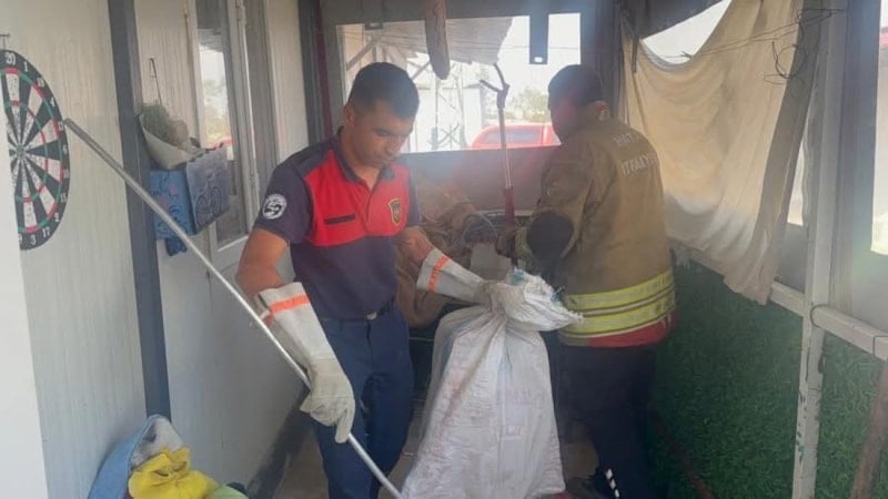 Hatay’da eve giren yılanı itfaiye yakaladı