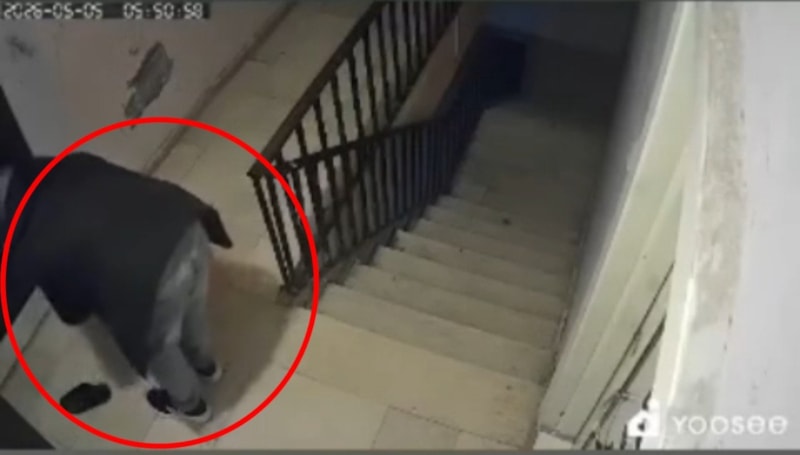 Mardin’de apartmanda dolaşan hırsız ayakkabıları çalıp gitti: O anlar kamerada